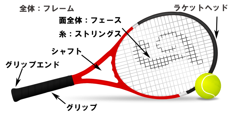 選手必見!テニスラケット（硬式）の選び方とおすすめラケットの紹介